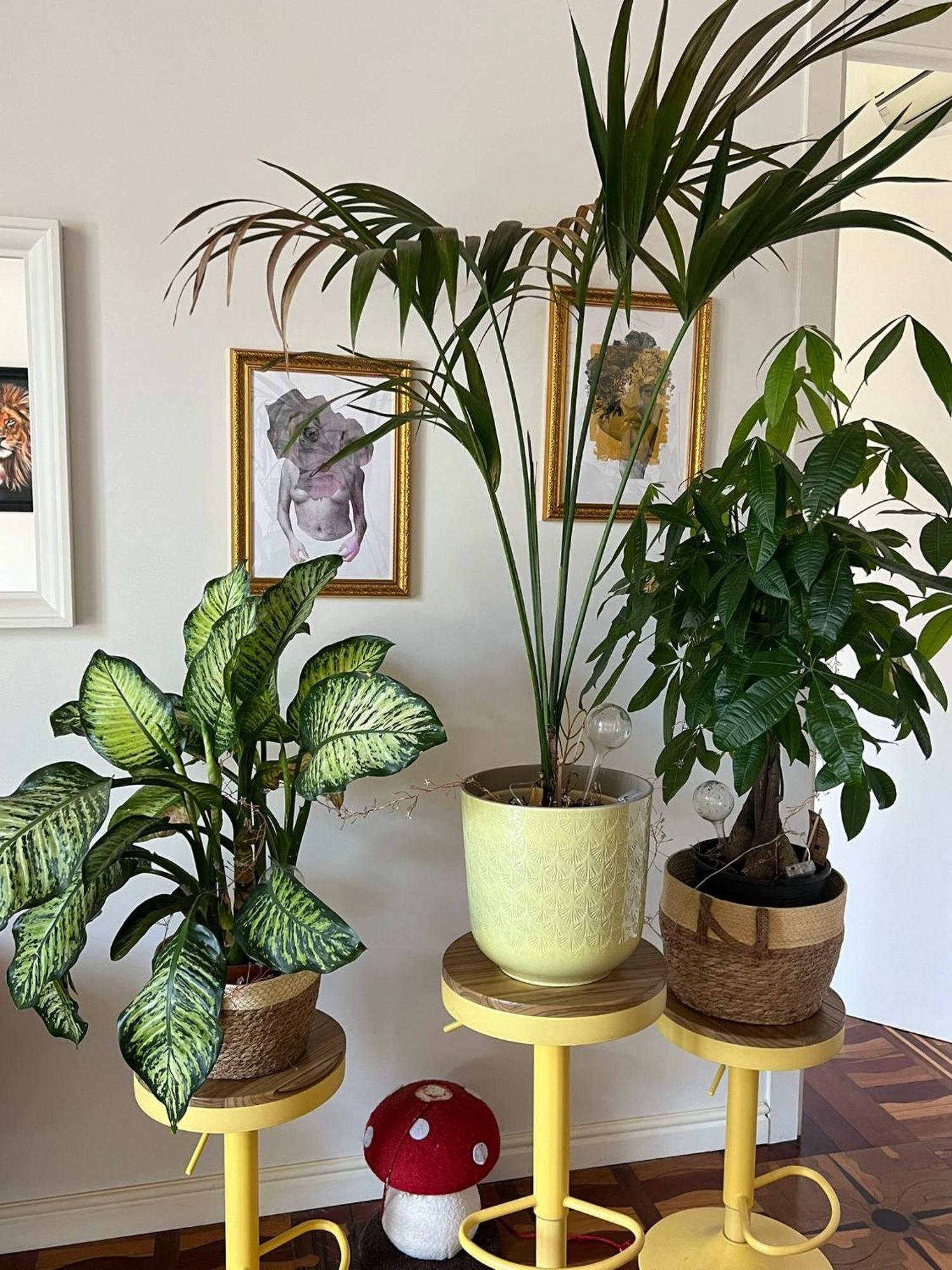 Habitacion Privada En Bello Apartamento Compartido Barcelona Eksteriør bilde